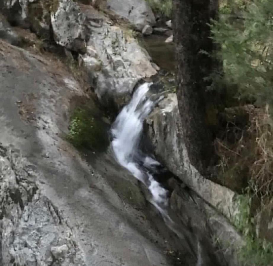 Sequoia National Forest Cabink Panorama Heights Buitenkant foto