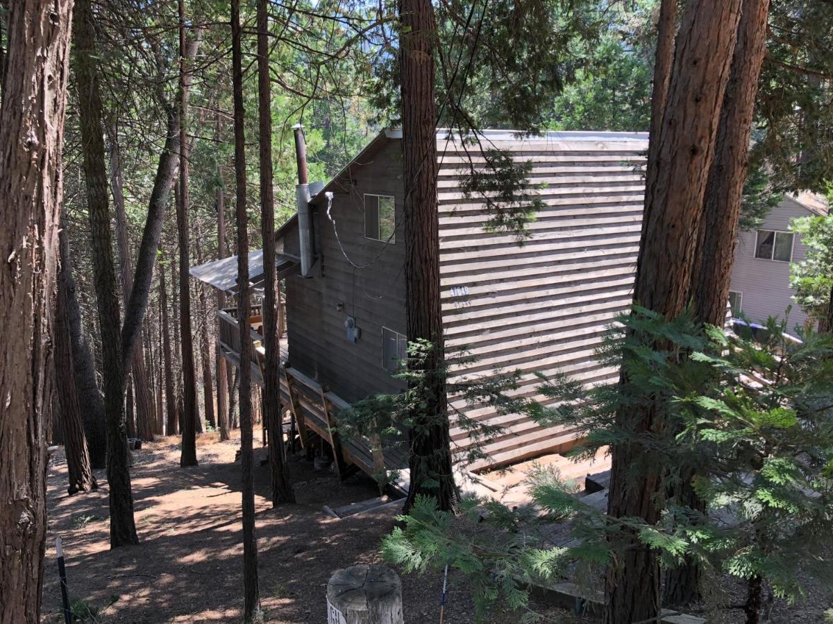Sequoia National Forest Cabink Panorama Heights Buitenkant foto